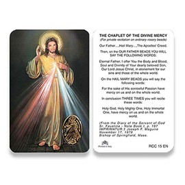 Holy cards for Catholics including St Jude Our Lady of Guadalupe St Michael St Joseph St Anthony Prayer and Others (Chaplet of Divine Mercy)
