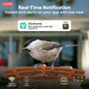 Birdsview Smart Bird Feeder with Solar-Powered 2K AI Camera for