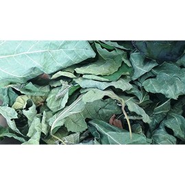 85g / 3 oz FIG Leaf Cut Leaves Detox FICUS CARICA Dried HERB Organic Tea