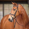 Shires Avignon Louisville Bridle - Black (Cob)