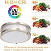 36W 13Inch LED Ceiling Light Surface Flush Mount Light Fixtures