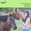 Pasalus Horses Bach Flowers Cane Sugar Cube for Anxiety, Stress