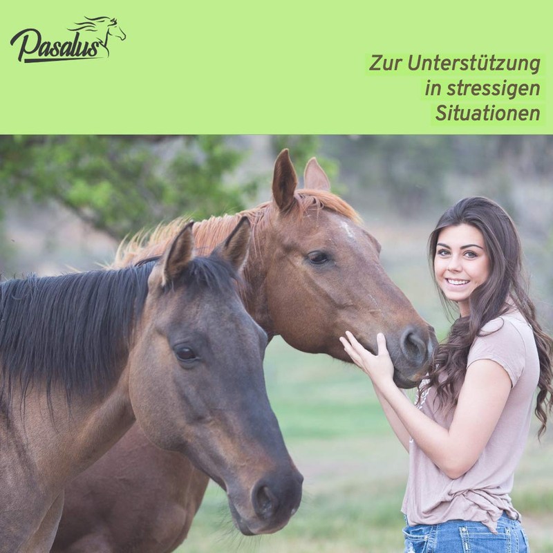 Pasalus Horses Bach Flowers Cane Sugar Cube for Anxiety, Stress