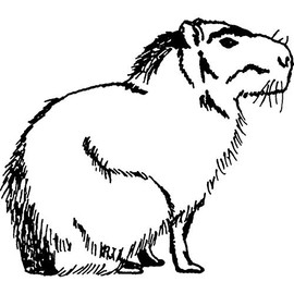 Azeeda A7 'Sitting Capybara' Unmounted Rubber Stamp (RS00012852)