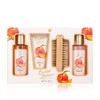 Accentra Badeset, Pflegeset ESSENTIAL BOTANICS â FRUITS in Geschenkbox â Duschgel â Schaumbad â Bodylotion â NagelbÃ¼rste â in Pfirsichduft