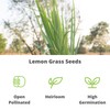 Lemon Grass Seeds for Planting Outdoor - 250 Mg Packet