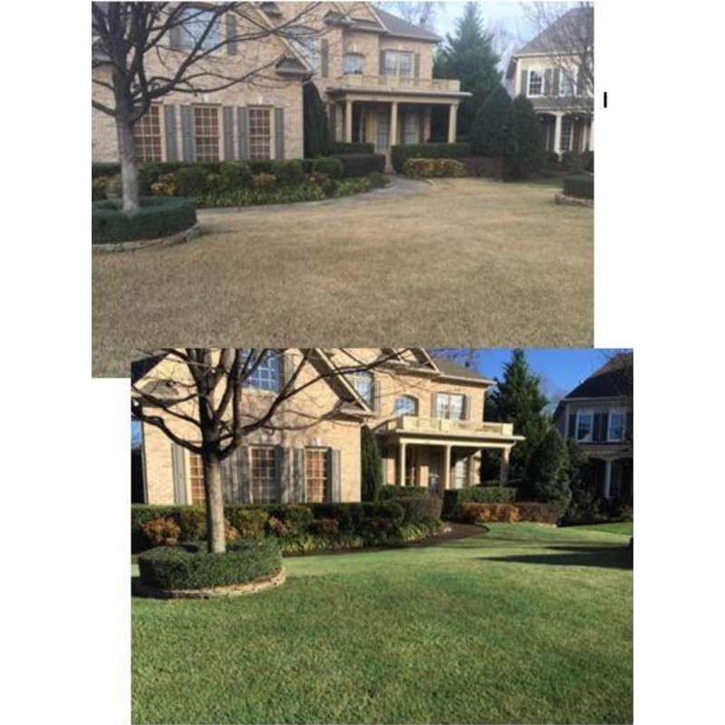 EnviroColor 4,000 Sq Feet 4Ever Green Grass and Turf Paint
