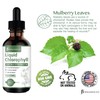[2-Pack] Liquid Chlorophyll Drops - All-Natural Concentrate – Immune System