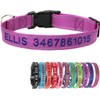 Collar de Perro Nylon Reflectante con Nombre Personalizado Collar Perro