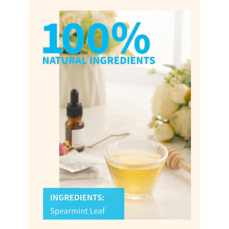 TeeLux Spearmint Tea Bags 100 Count, 100% Pure Spearmint Leaf,