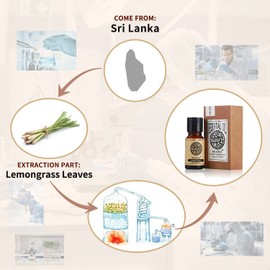 Lemongrass Essential Oil AKARZ Natural Organic Pure Premium Therapeutic Lemon Grass Oil for Skin Body Hair Care, Diffuser, Candle,Soap,Making, DIY,Massage Aroma 0.34 Fl Oz (10ml)