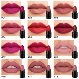 evpct 12Pcs Mini Pills Lipstick Capsule Set for Women Waterproof Long Lasting Dark Ruby Plum Rose Red Nude Pink Mauve Taupe Brown Matte Small Magic Permanent Lipstick 24 Hour Lipstick Bulk Samples 01