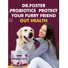 DRFOSTER Probiotics for Dogs, Dog Probiotics for Digestive Health, 6