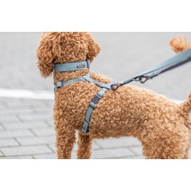 TRIXIE CityStyle V-Leine CityStyle, S-M, 2 m/13 mm, Sage, Adjustable Dog Lead for Small Dogs, Made of Canvas and Webbing, 3-Way Adjustable, 1970216