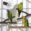 Bird Wood Perch Set, Wooden Parrot Stand Bird Cage Perch