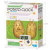 4M Green Science Potato Clock, Science and Activity Kit, Suitable