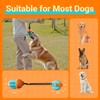 FOXMM Interactive Dog Toys – Suction Cup Tug of War