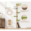 Floor to Ceiling Cat Tree for Kittens, Wall Mounted Cat