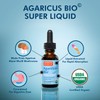 Agaricus Bio Super Liquid, Natural Killer Cell Activity, Organic Mushroom