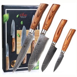 Wakoli Kitchen Knife Set, 4 Pieces Professional Chef Knife Set made from 67 Layers of Damascus Steel with VG10 Core, Damascus Knife with Ergonomic Pakkawood Handles in Wooden Gift Box (EDIB Pro 4-pcs)