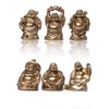 6 Different Buddha Figurines Happy Buddha Lucky Charm
