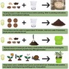 Meekear 10 Herb Seeds Garden Starter Grow Kit with Green