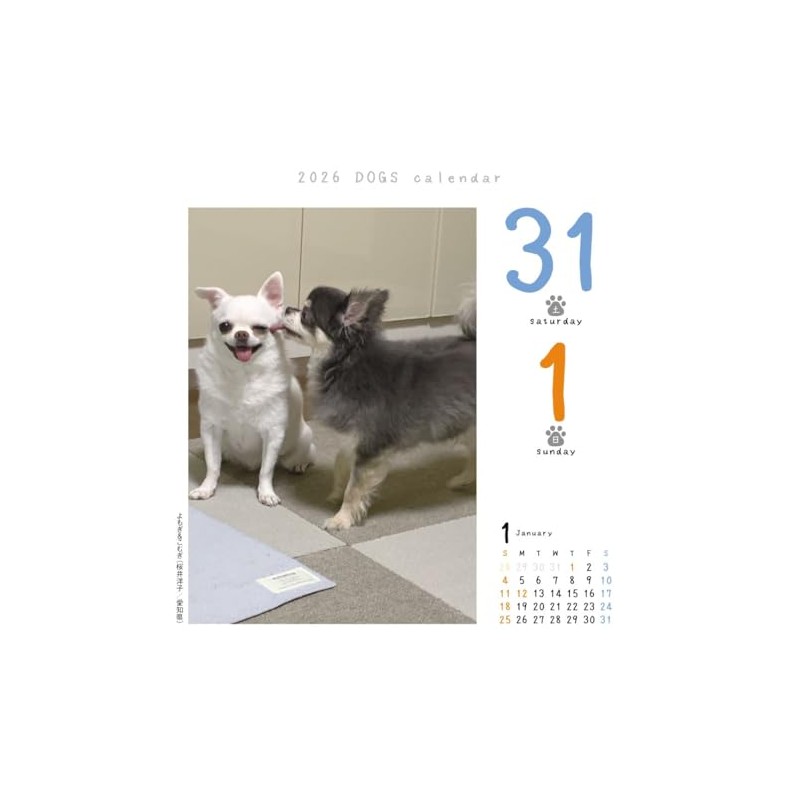 Dog Turning 2026 Calendar Refills Day Dive CK-D26-02