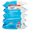Pacheco Flushable Wipes, Fresh Scent, 5 packs of 48 wipes,