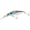 Shimano Exsence Dive Assassin 80S Flash Boost – Saltwater Seabass