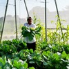 Garden Netting Pest Barrier: 4'x10' Fine Bug Netting for Garden