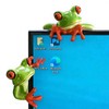 Cute Resin Frog Decor Set, 2 Pcs, Fun Gift Idea