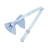 LEVAO Men's Velvet Vintage Bow Tie Tuxedo Big Bowtie, Light