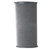 Pentek 255672-43 Carbon Filter