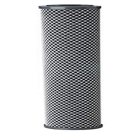 Pentek 255672-43 Carbon Filter
