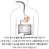 바이셀 가스트로 엔자임 G 특허균주 발효물 아밀라아제 코디세핀 포스트바이오틱스 10포