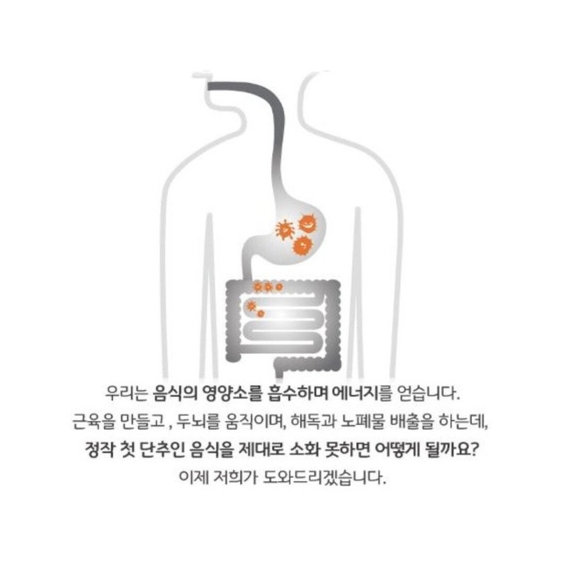 바이셀 가스트로 엔자임 G 특허균주 발효물 아밀라아제 코디세핀 포스트바이오틱스 10포