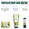 The Body Shop Jabón Oliva