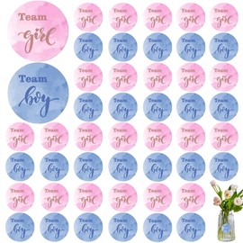 Gender Reveal Stickers 48pcs,Team Boy or Girl Labels Baby Shower,Ready to Pop Stickers Baby Shower for Baby Shower Decoration Supplies and Gender Reveal Party Games