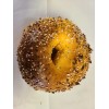 Long Island NY bagels 1 dozen EGG EVERYTHING Bagels $19.99