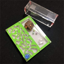 EFGH Prueba Tubo HUJERA Espacial Grande Ant Space NID, Ant FRAND Acrylic, Anterior DE Insectos Villa Horma Horma HORMAS Taller ECOLÓGICO Insectos Naturales Terrarios 150mmx110mm 811 (Color : Green)