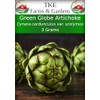 TKE Farms & Gardens - Artichoke Seeds for Planting, Green