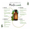 Oleum Vitae Aceite Esencial 100% Puro De Menta 120ml