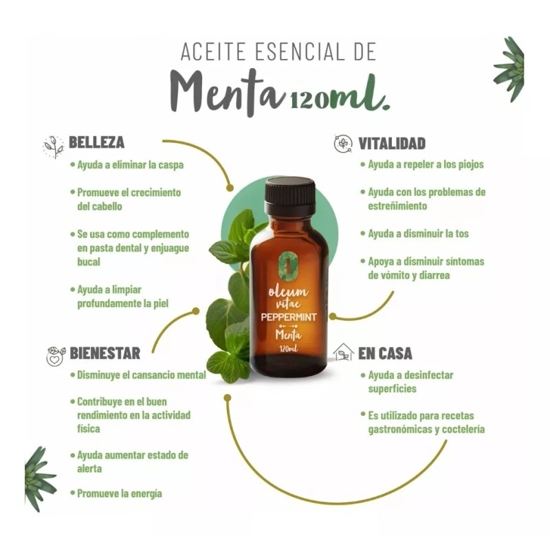 Oleum Vitae Aceite Esencial 100% Puro De Menta 120ml
