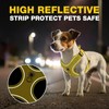Dog Harness and Leash Set,4 Point Adjustable Reflective Dog Vest