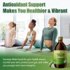 iMatchme 500ML Premium Soursop Bitters Liquid –15-Herb Immune Support |