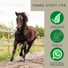 EMMA Magnesium Horse 5 x 30 ml Paste Relaxation &