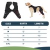 Supet Dog Rear Leg Sleeve to Stop Licking- Anti Licking