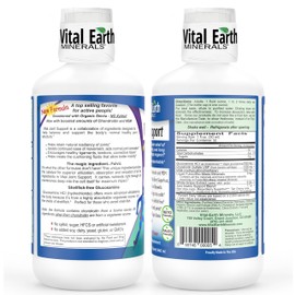 Vital Earth Liquid Joint Support Supplement 2-Pack – Glucosamine, Chondroitin, MSM Plus Hyaluronic Acid, Boswellia & Fulvic Acid (70+ Trace Minerals), 32 Oz Ea