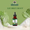 Nature's Answer Licorice Root Liquid Supplement 1 Fluid Ounce |