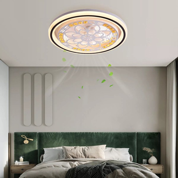 Modern Ceiling Fan With Light Dimmable LED Chandelier Lamp &
